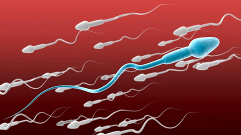 Giải quyết trình trạng vô sinh ở nam giới với 5 USD