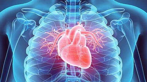 4 thói quen xấu có hại cho sức khỏe tim mạch sau 40 tuổi