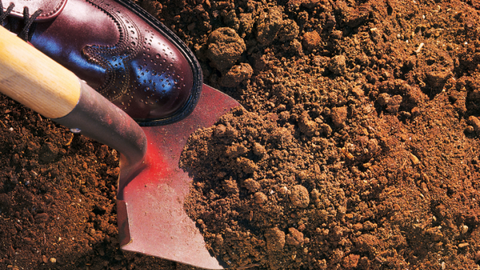 Sao Kim Lâu trong chuyện kiêng kỵ khi xây nhà của người Việt và cách dân gian thường dùng để "hóa giải"