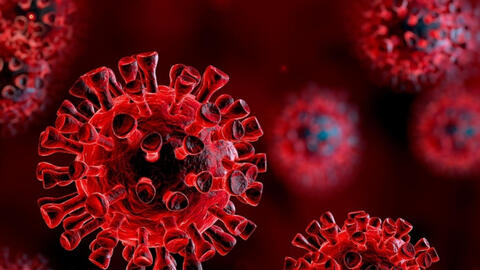 Phát hiện biến chủng nCoV mới, "lai" thêm 7 đột biến