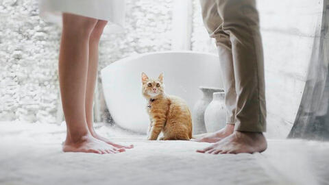 5 yếu tố hàng đầu dẫn đến ly hôn