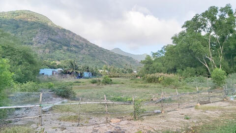 Nguyên Phó chủ tịch Hội Liên hiệp Phụ nữ H.Côn Đảo bao chiếm 5,3 ha đất công, đất rừng phòng hộ