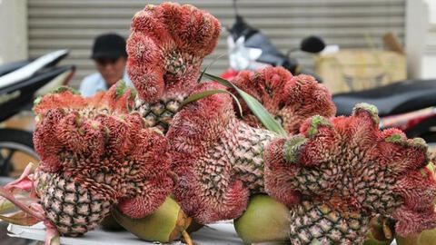 Một số loại trái cây chưng Tết bắt đầu nhích giá