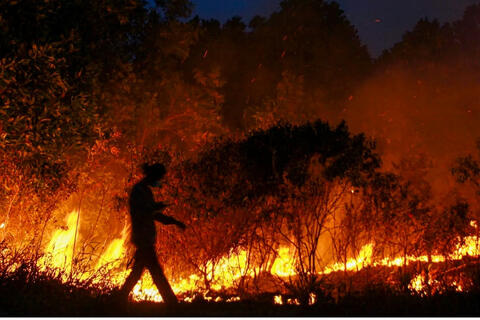 Những vụ cháy rừng lớn trên thế giới trong thời gian qua