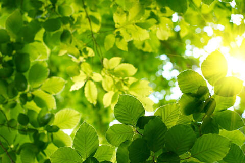 Kỹ năng sống hạnh phúc