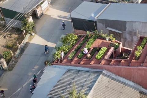 Ngôi nhà đỏ có vườn rau kiểu ruộng bậc thang trên mái ở Quảng Ngãi