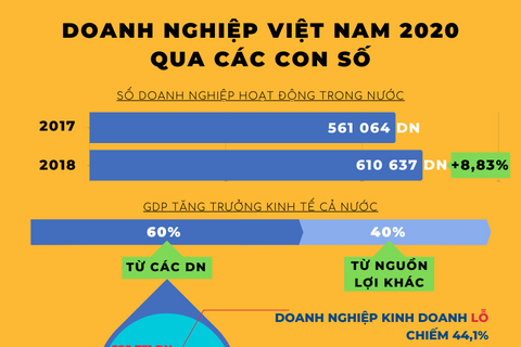 Doanh nghiệp Việt Nam 2020 qua các con số