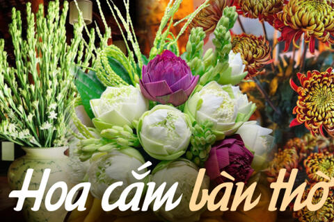 Loại hoa nào nên bày trên bàn thờ ngày Tết giúp thu hút tài lộc? Hoa cắm số chẵn hay số lẻ mới đúng?