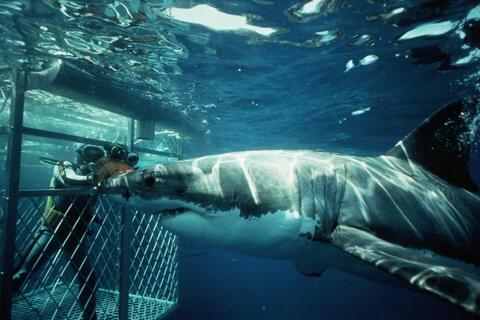 Những hành trình "đau tim" nhất thế giới