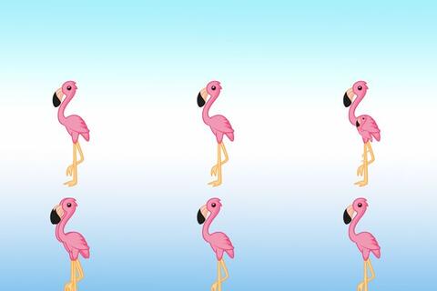 Có bao nhiêu con hồng hạc trong hình dưới đây?