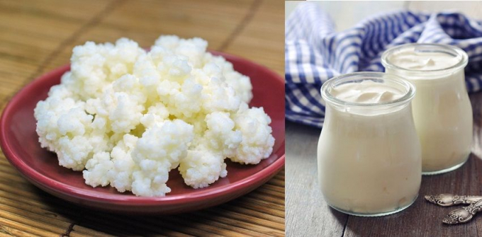 Cách làm nấm sữa kefir đơn giản, ngon tuyệt tại nhà.