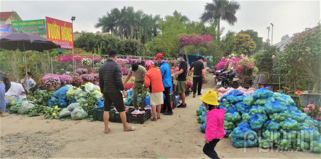 Hàng chục tấn nông sản Hải Dương được người dân thủ đô 'giải cứu' mỗi ngày