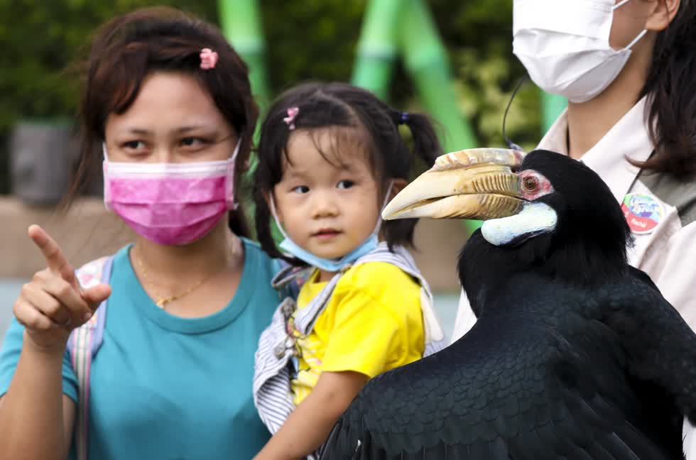 Du khách đến tham quan khu vườn chim tại công viên Ocean Park.