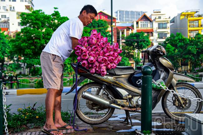 Hện tại đầm chỉ đủ sen phục vụ khách mua quen vì lượng sen hiện tại không đủ phục vụ thêm khách ngoài