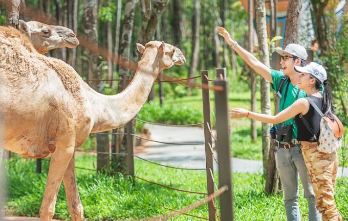 5 điểm check-in lãng mạn nhất tại nơi tổ chức đám cưới Đông Nhi – Ông Cao Thắng