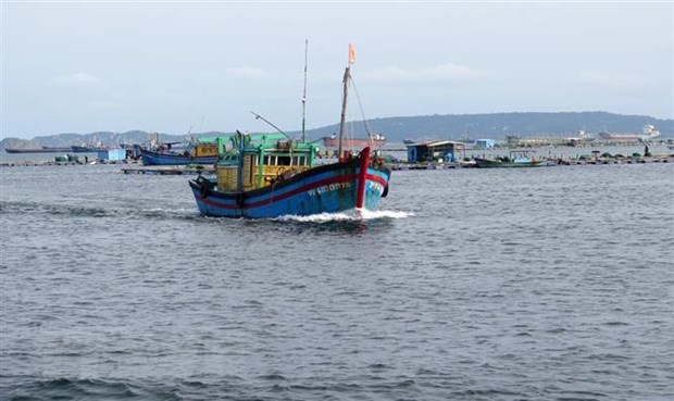 Tàu cá di chuyển vào bờ tránh bão. (Ảnh: Xuân Triệu/TTXVN)