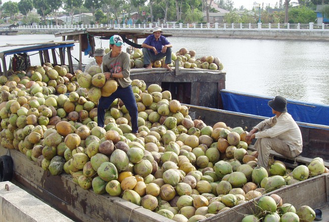 Thị trường tuần qua: Thịt heo chưa tăng giá