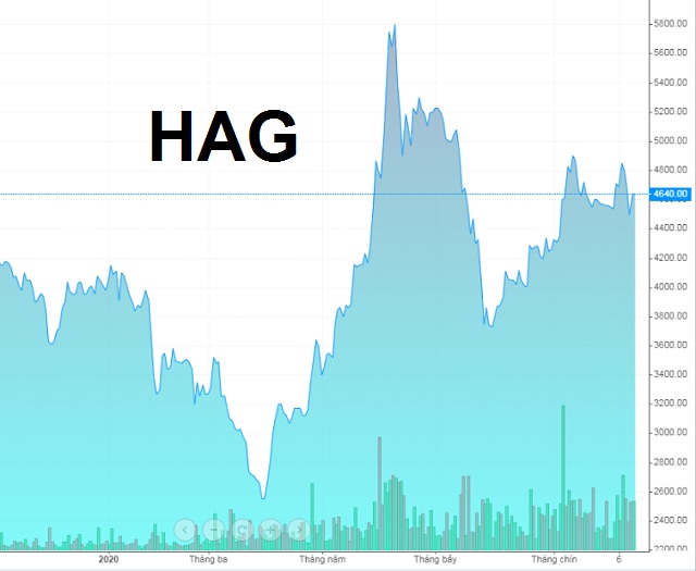 Diễn biến giá cổ phiếu HAG từ đầu năm 2020 đến nay. Nguồn: VietstockFinance