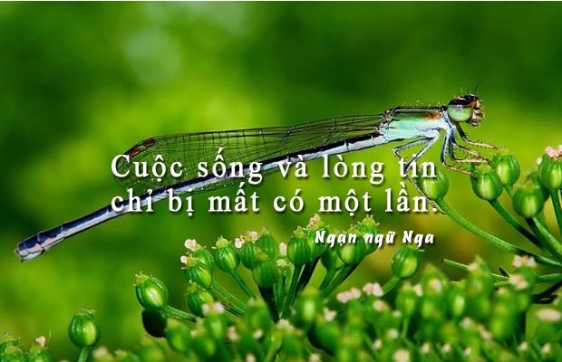 Tử vi sự nghiệp thứ 4 ngày 22/1/2020 của 12 con giáp: Dần được tưởng, Tý tự tin 