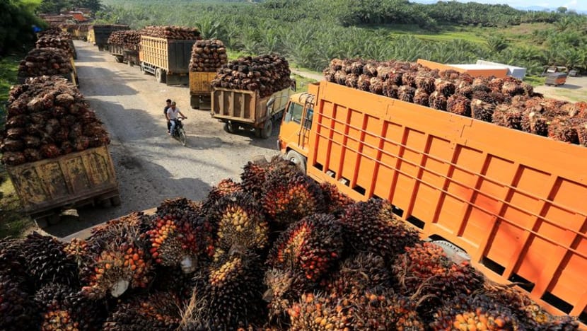 Indonesia đặt mục tiêu nối lại hoạt động xuất khẩu dầu cọ đầu tiên kể từ lệnh cấm - Ảnh 1.