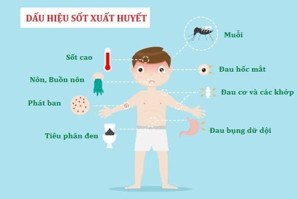 Nhiều ca sốt xuất huyết chuyển nặng vì mất cảnh giác  - Ảnh 1.