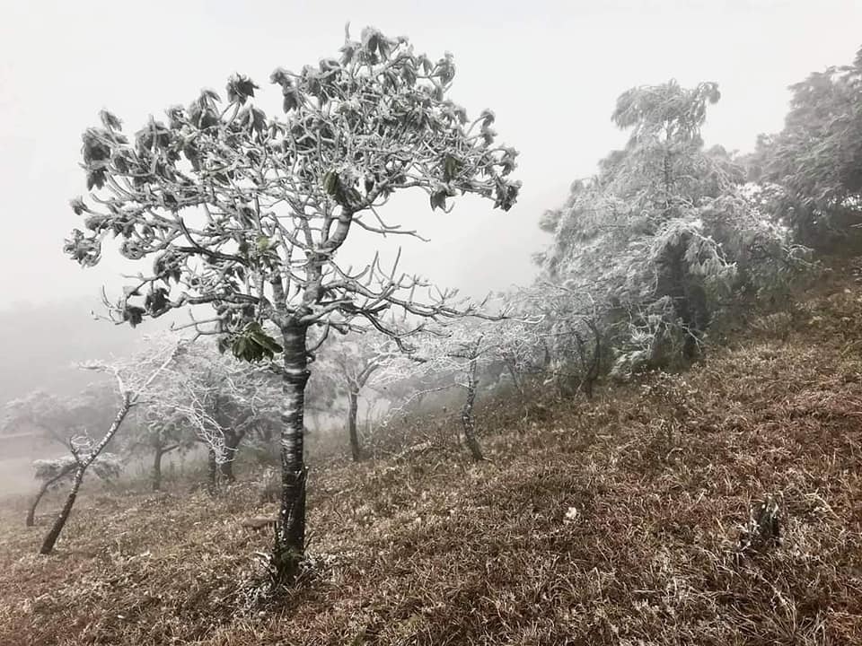 Cảnh tượng lãng đãng, đẹp mắt trên đỉnh Mẫu Sơn trong sáng 8/1/2021.