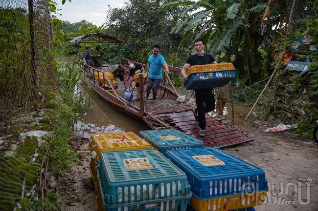 Mọi hoạt động mua bán của người dân đều phải vận chuyển qua đò đi vào từ hướng An Dương và hoặc đi xuống bằng lối cầu Long Biên.