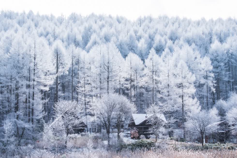 Vùng Nagano - Nhật Bản.