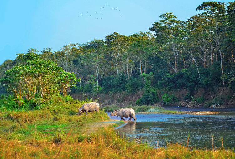 Khám phá những điều thú vị ở vùng đất Phật giáo Nepal - Ảnh 9.