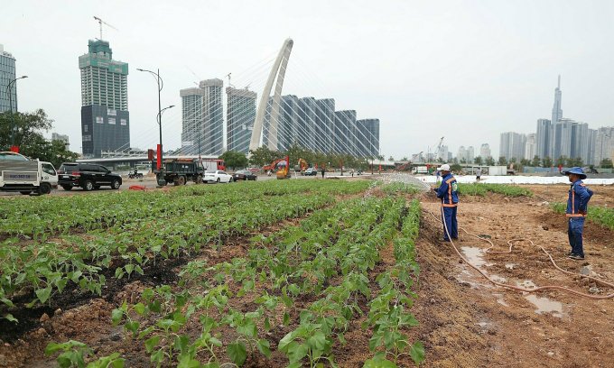 Người dân TP.HCM có thêm điểm vui chơi giải trí ven sông dịp Tết- Ảnh 1.