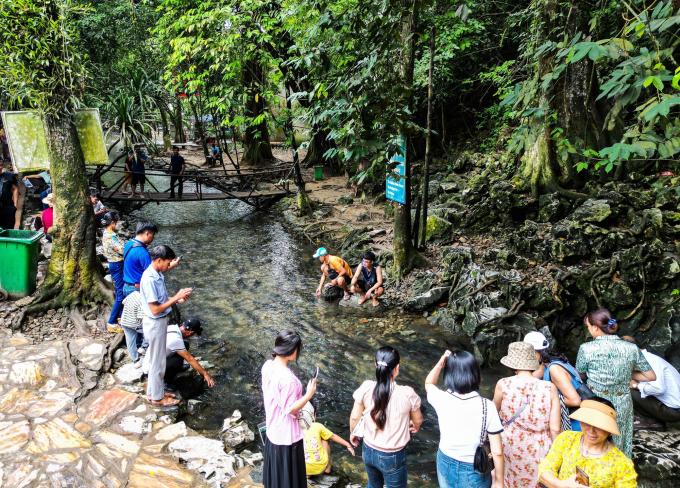 Đàn cá cả vạn con ở Thanh Hóa, vì sao không ai dám xâm phạm?