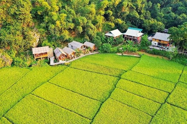 Mai Châu mướt xanh và yên bình. (Ảnh: CTV/Vietnam+)