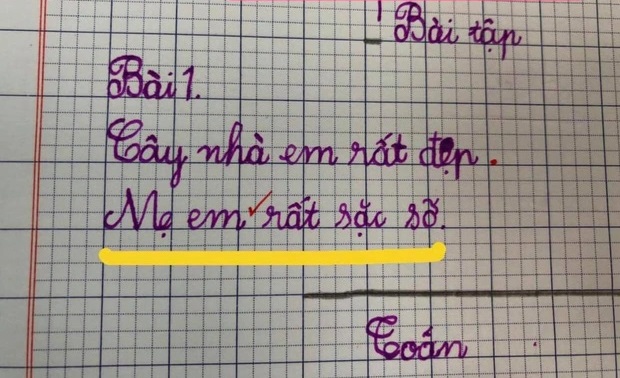 Học sinh đặt câu với từ phức khiến cô giáo tá hỏa: Mới chút tuổi mà đã triết lý thế này!