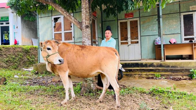   Chị Quàng Thị Dinh, bản Lọng Tòng, xã Nậm Lạnh được tặng Bò (sinh sản trong tháng 12/2022)  