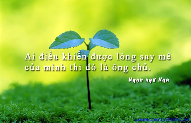 Tử vi sự nghiệp thứ 2 ngày 13/1/2020 của 12 con giáp: Sửu giải quyết các dự án mới, Ngọ linh hoạt giải quyết vấn đề