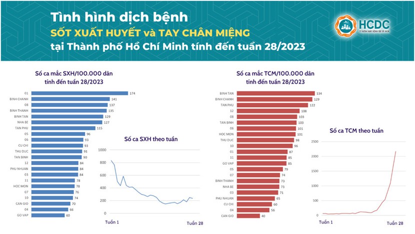 Sốt xuất huyết gia tăng: Người nhiều bệnh lý và sản phụ cần thận trọng - Ảnh 3.