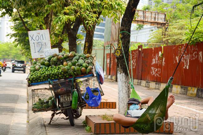 Hàng hoa quả ế ẩm vì nắng nóng không ai ra đường nên đành mắc võng nghỉ ngơi luôn tại bóng mát cây ven đường.