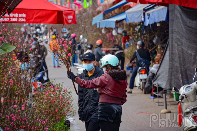 Tùy thuộc vào kích thước, những cành đào có giá bán khác nhau, trung bình từ 80.000 - 300.000 đồng. 