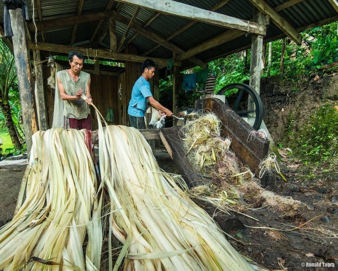 Khẩu trang từ sợi cây Abaca giảm thiểu rác thải mùa Covid