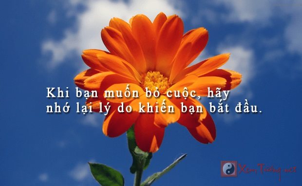 Tử vi sự nghiệp thứ 5 ngày 9/1/2020 của 12 con giáp: Dần tự tin và lạc quan, Thân vượt qua mọi thất bại