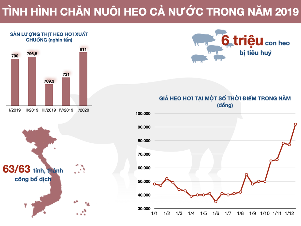 Tình hình chăn nuôi heo bết bát trong năm 2019 khiến Tết năm 2020 khan hiếm thịt, giá tăng cao. Đồ hoạ: Tất Đạt