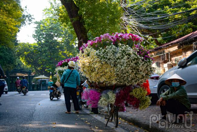 Con phố trăm tuổi của Hà Nội bừng sáng trong sắc thu 