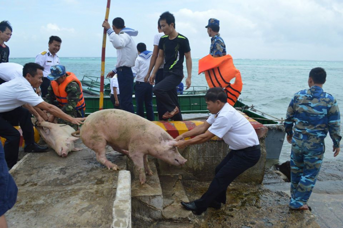 Heo, lá dong, lạt và các thứ đồ khác được mang ra đảo từ các chuyến tàu thay, thu quân cuối năm