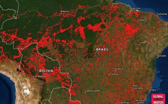 Bản đồ cho thấy vị trí của tất cả các vụ cháy rừng tại Brazil từ ngày 13.8.