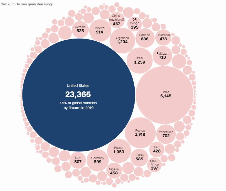 Quyền sở hữu súng là tự vệ hay tự sát? - Ảnh 3.
