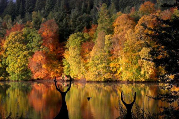 Hồ Loch Faskally ở thị trấn Pitlochry, Scotland. Ảnh: Reuters.