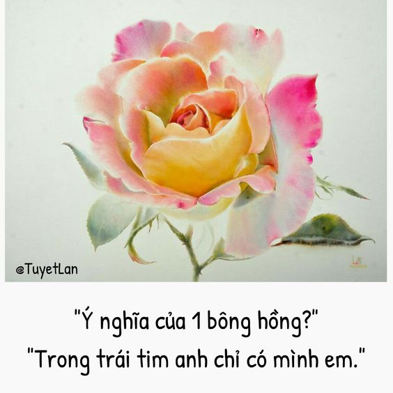 Tử vi thứ 4 ngày 1/4/2020 của 12 con giáp: Sửu không lo lắng tiền bạc, Dậu nhân duyên kìm hãm