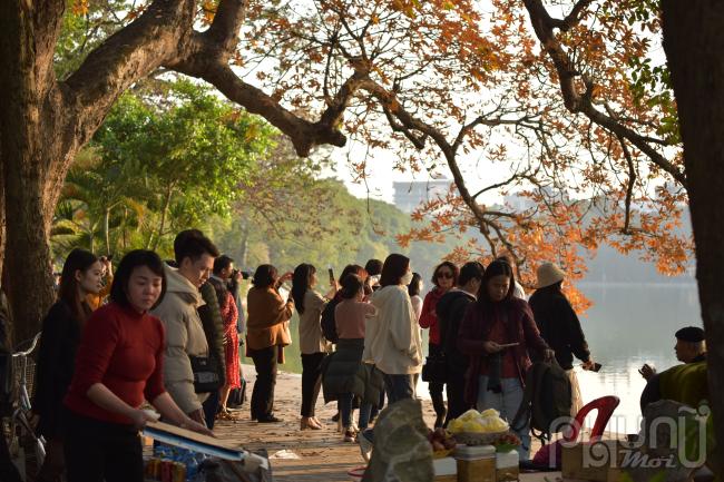 Mỗi mùa cây ra hoa hay lá chuyển vàng đều thu hút người dân và khách du lịch đến chụp ảnh. Đặc biệt là lúc lá cây chuyển sang màu.