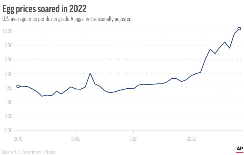 Giá trứng gà ở Mỹ tăng cao gây áp lực cho người tiêu dùng - Ảnh 2.