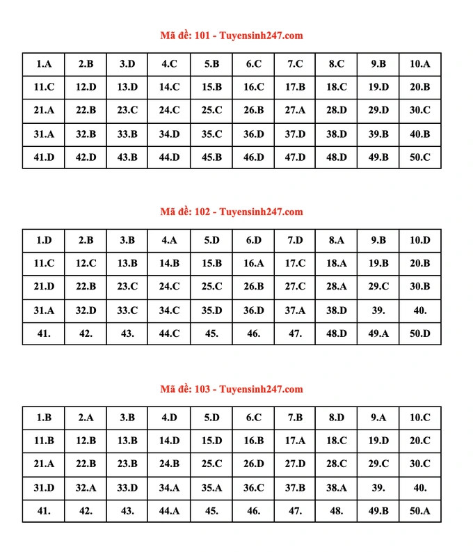 Đáp án đề thi môn Toán tốt nghiệp THPT 2022 - Ảnh 1.